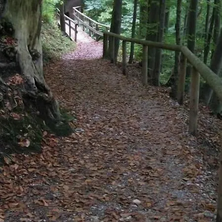 Kolbergarten 3*