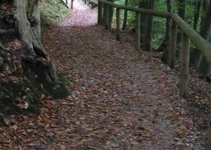 Kolbergarten 3*